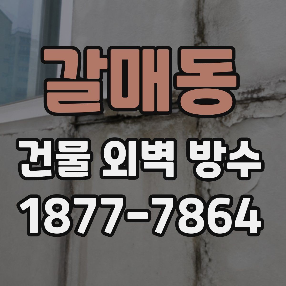 갈매동 건물 외벽 방수 자주 생기는 문제와 해결 방향