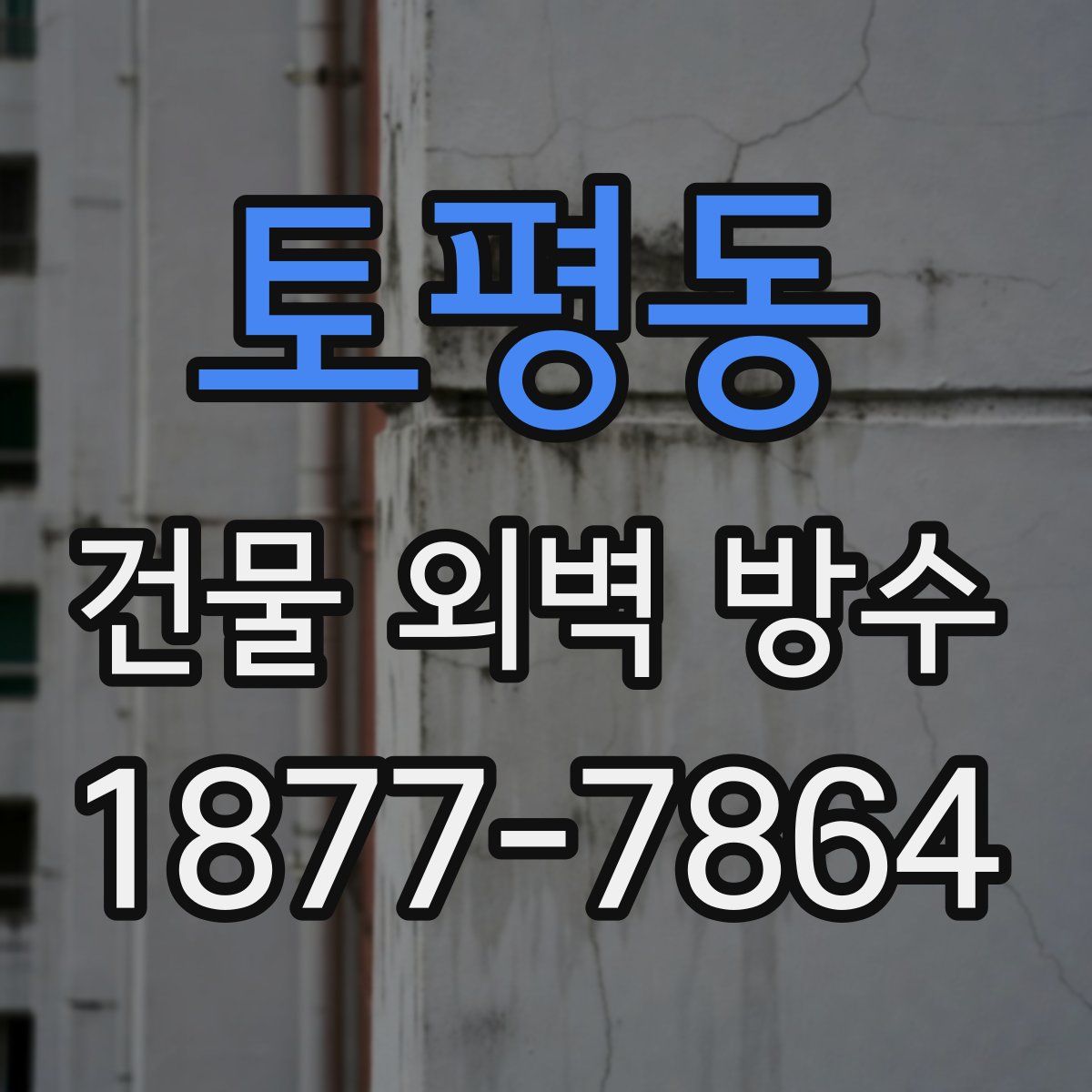 토평동 건물 외벽 방수