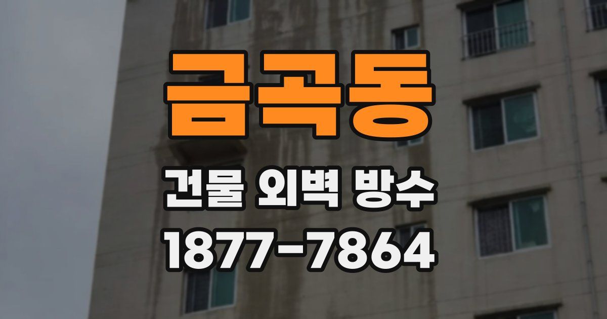 금곡동 건물 외벽 방수