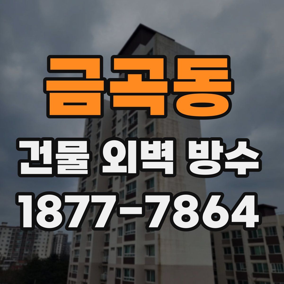 금곡동 건물 외벽 방수