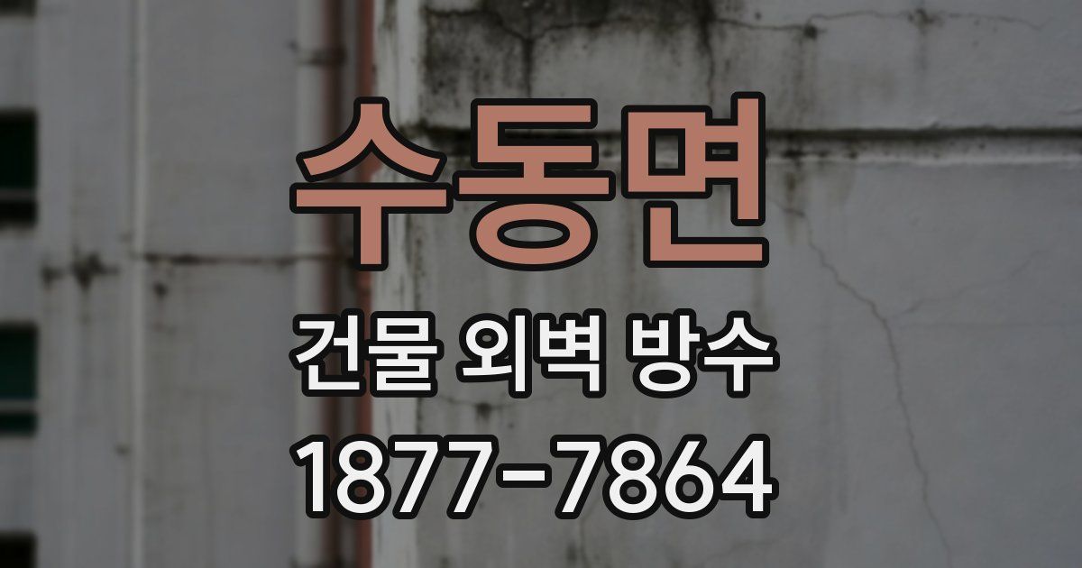 수동면 건물 외벽 방수