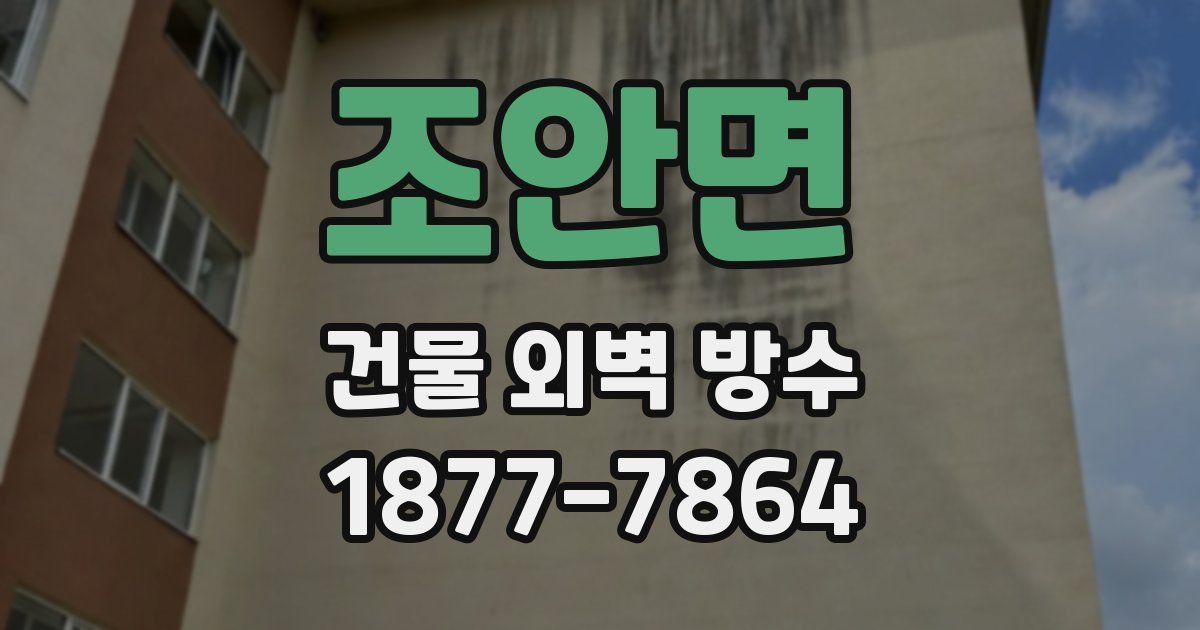 조안면 건물 외벽 방수