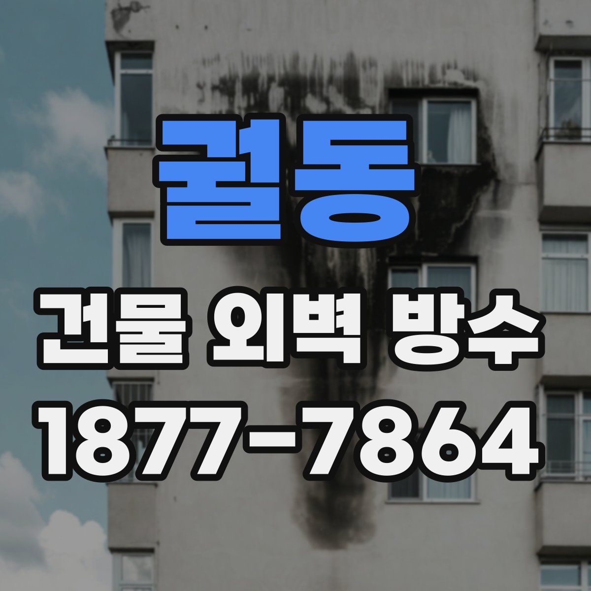 궐동 건물 외벽 방수