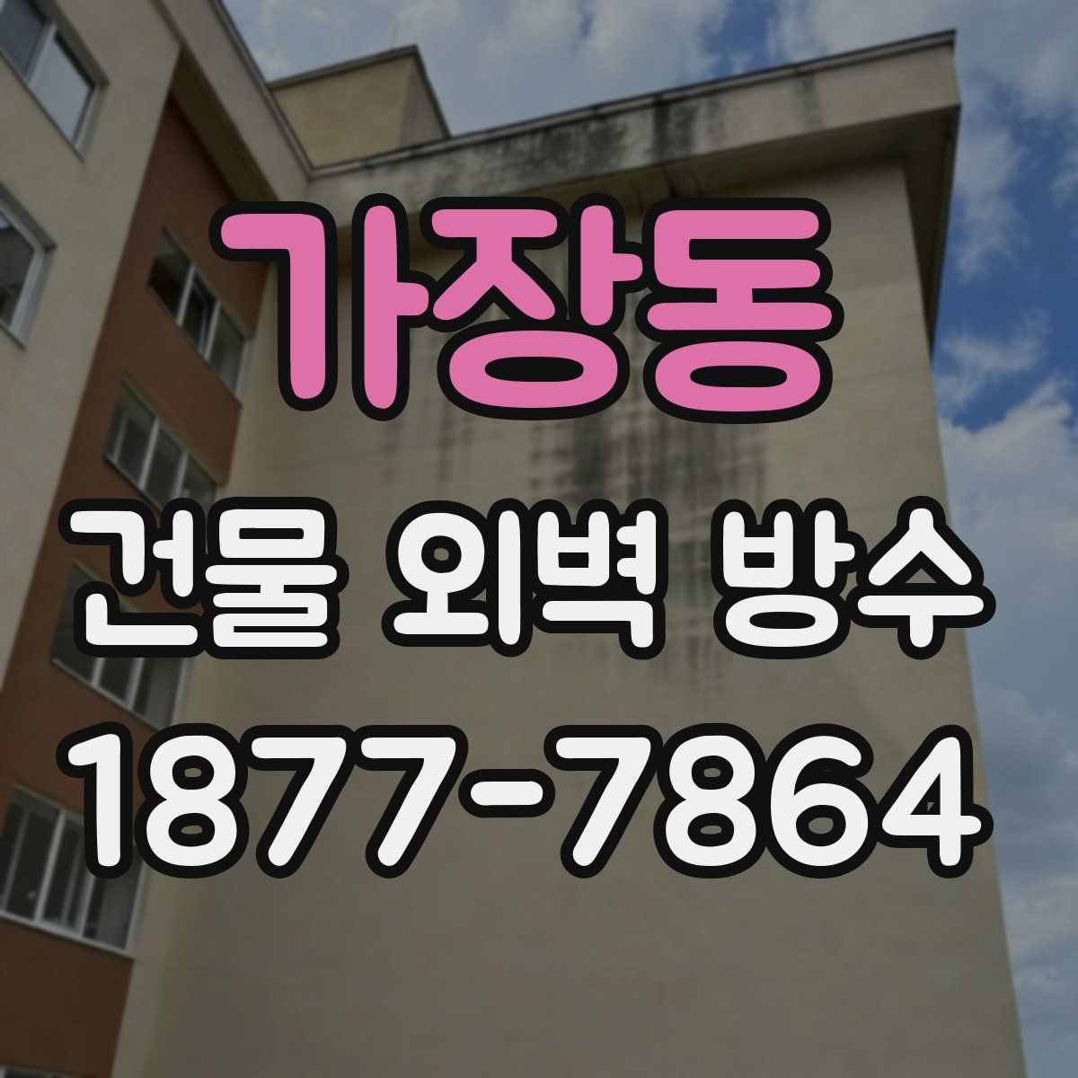 가장동 건물 외벽 방수