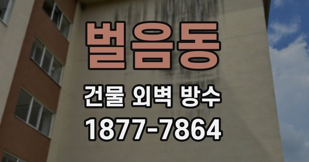 벌음동 건물 외벽 방수