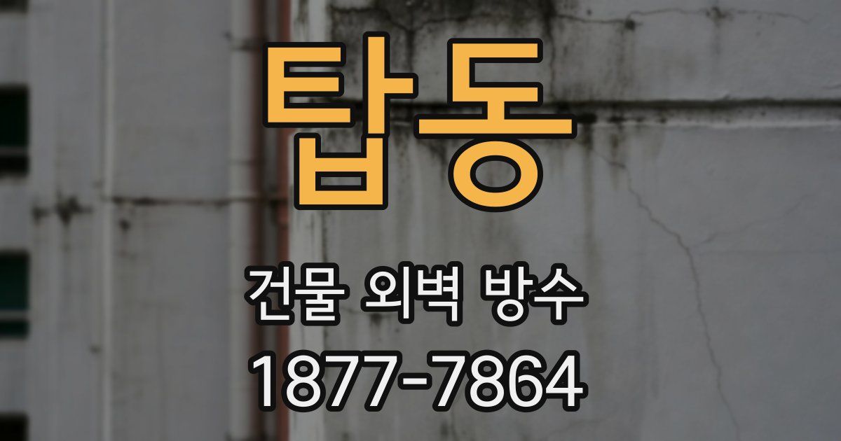 탑동 건물 외벽 방수