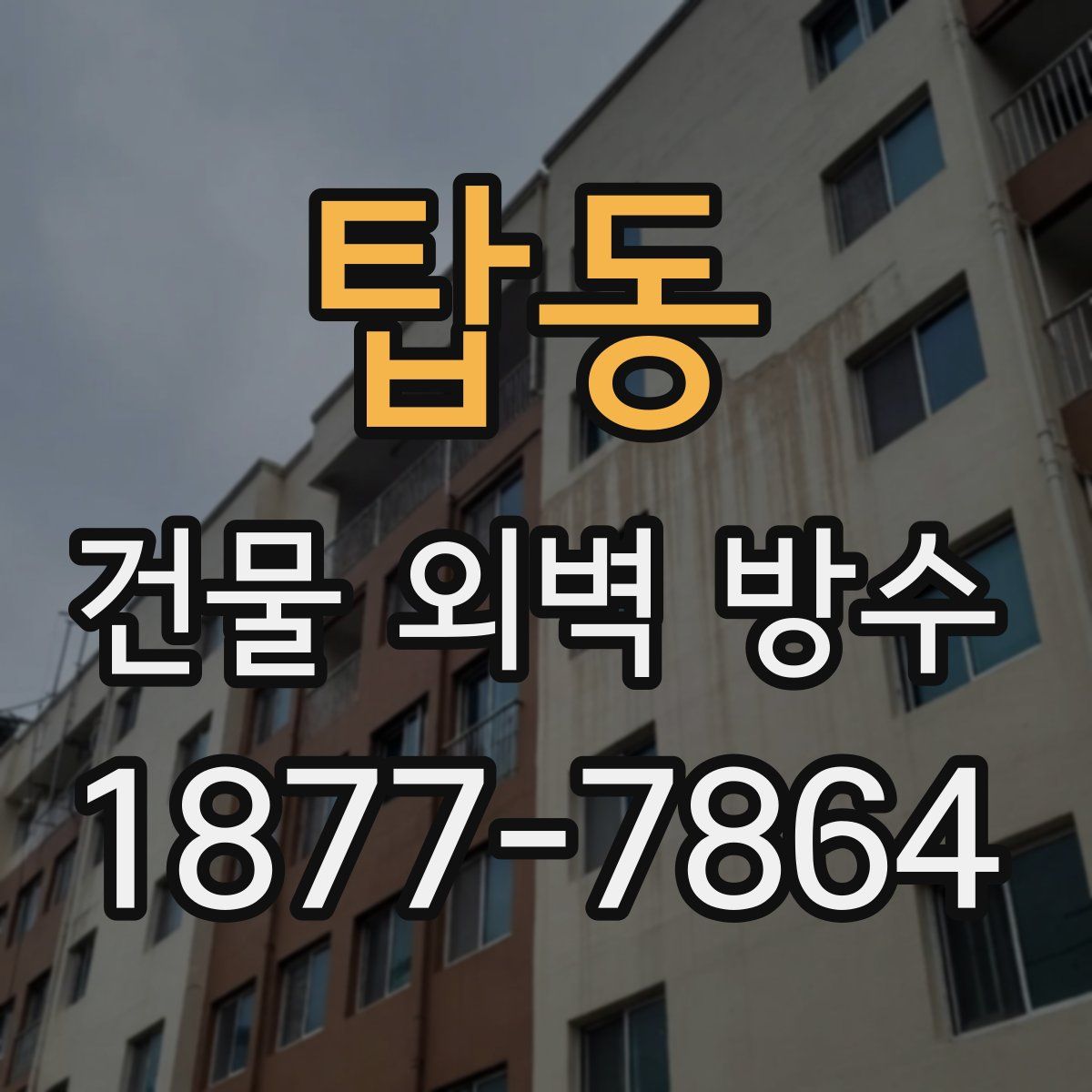 탑동 건물 외벽 방수