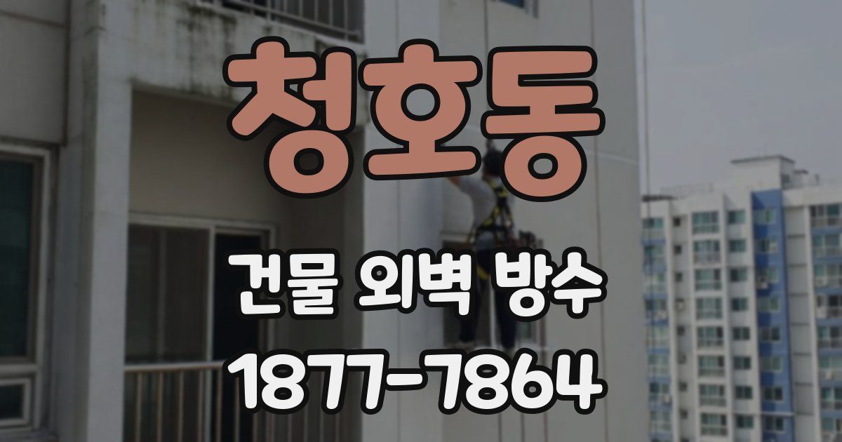 청호동 건물 외벽 방수