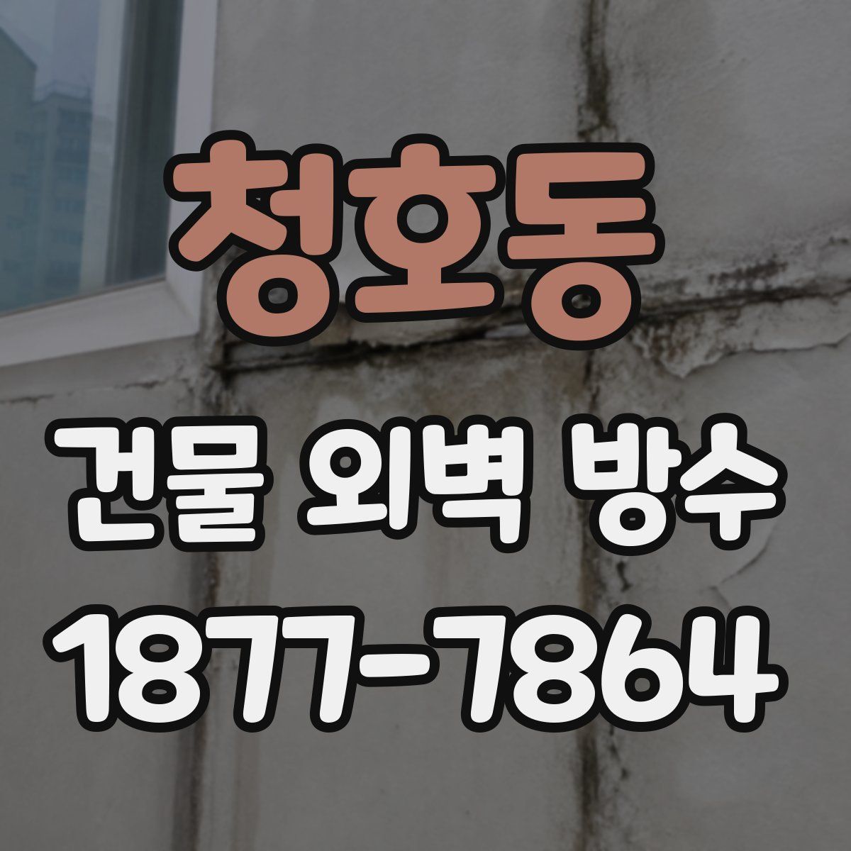 청호동 건물 외벽 방수