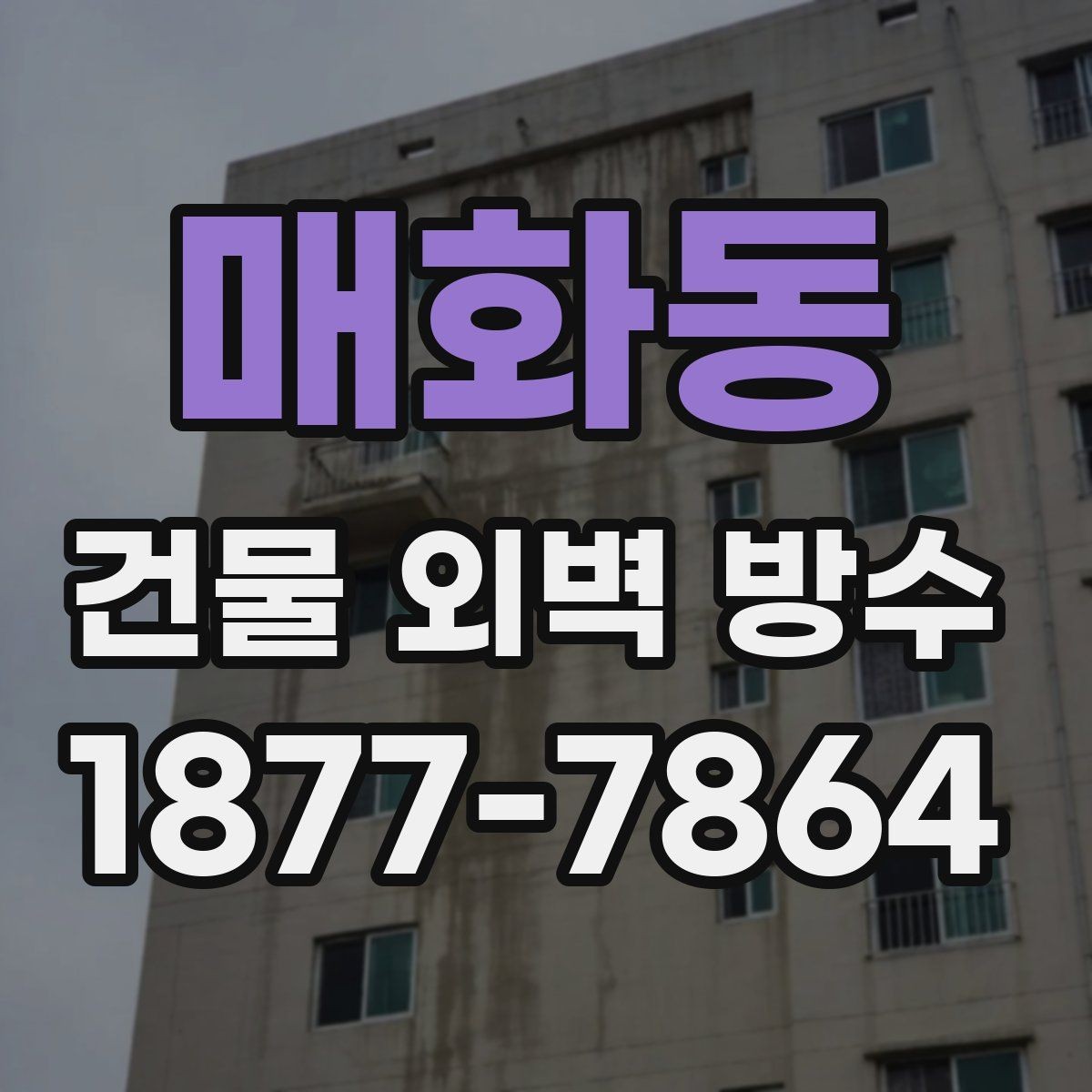 매화동 건물 외벽 방수 외벽 균열 유형별 대응 방법