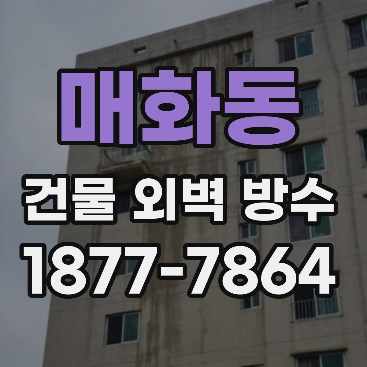 매화동 건물 외벽 방수