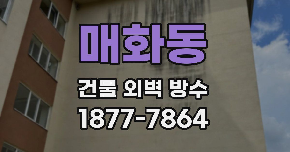 매화동 건물 외벽 방수
