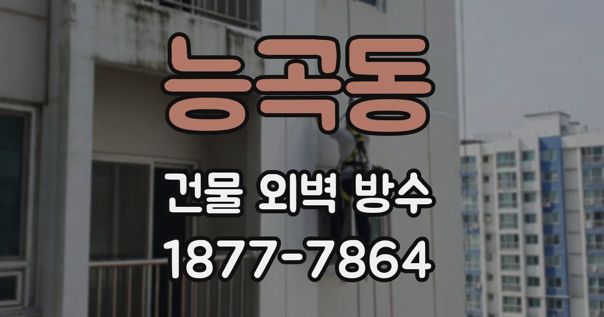 능곡동 건물 외벽 방수