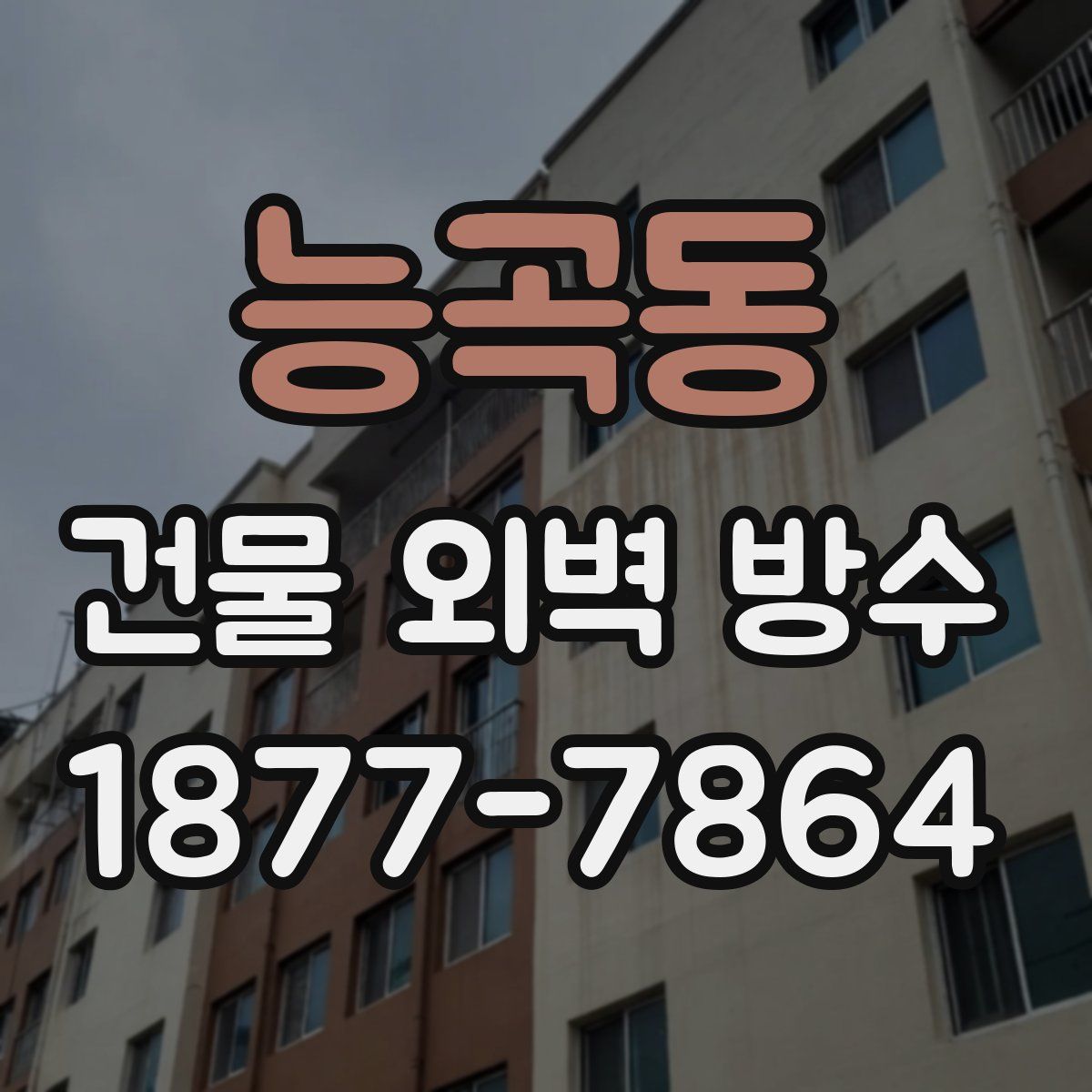 능곡동 건물 외벽 방수