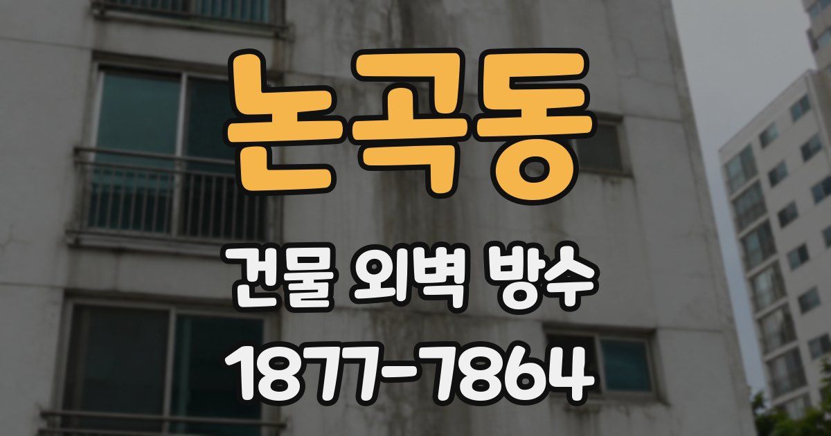 논곡동 건물 외벽 방수