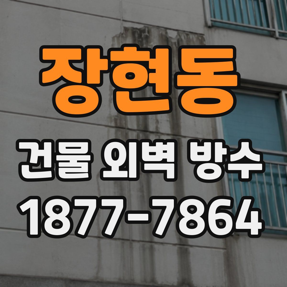 장현동 건물 외벽 방수