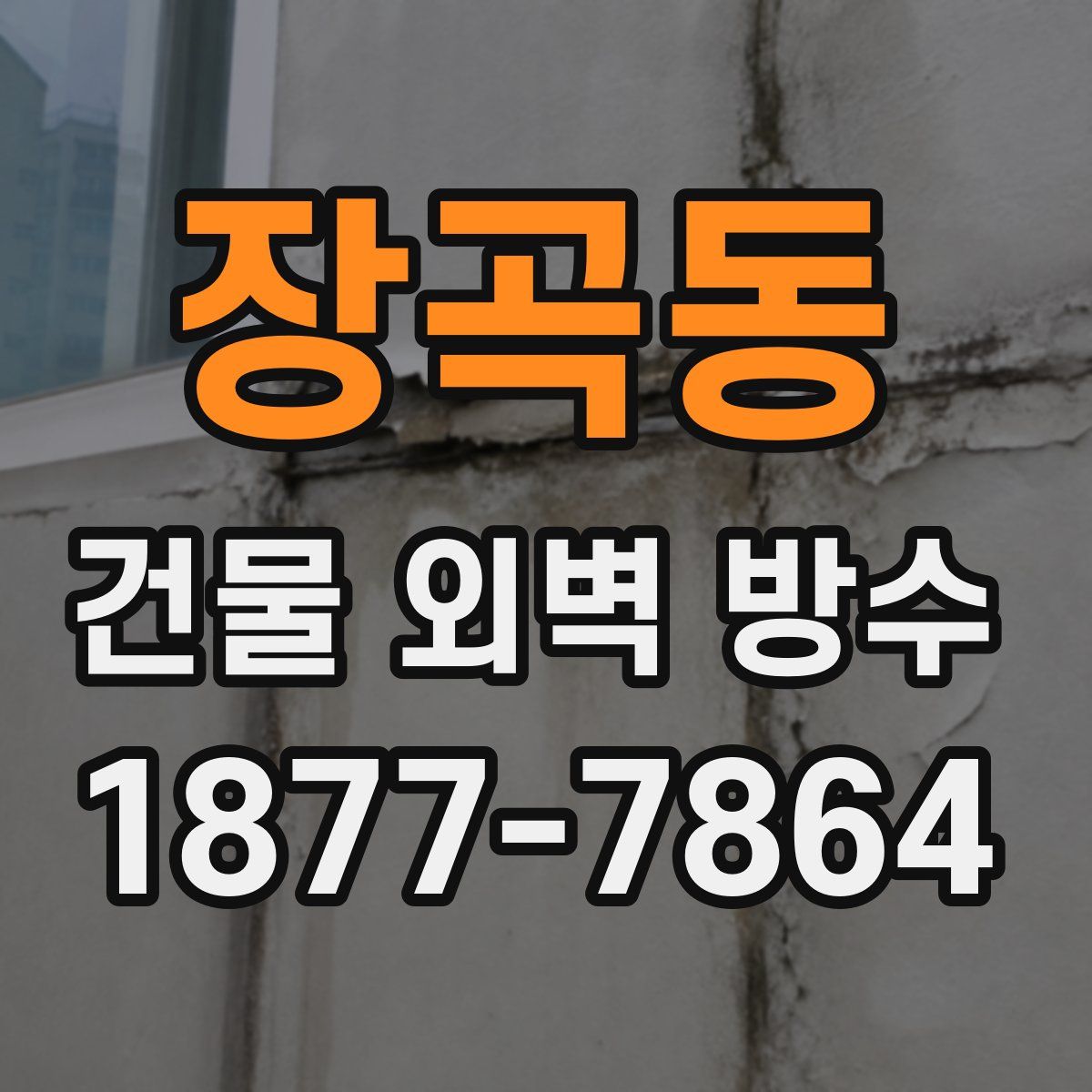 장곡동 건물 외벽 방수