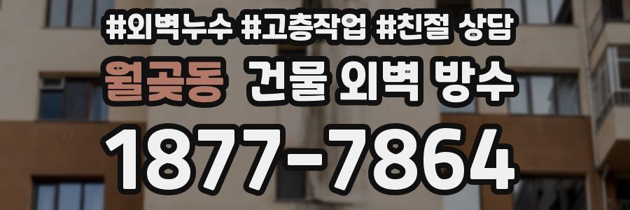 월곶동 건물 외벽 방수
