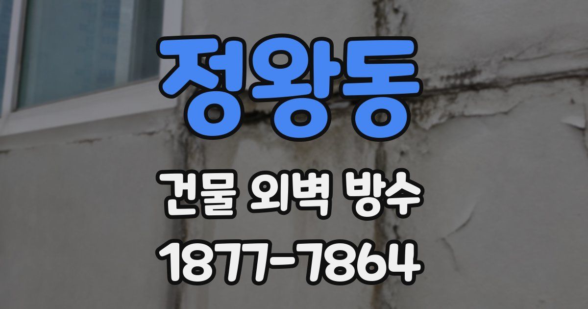 정왕동 건물 외벽 방수