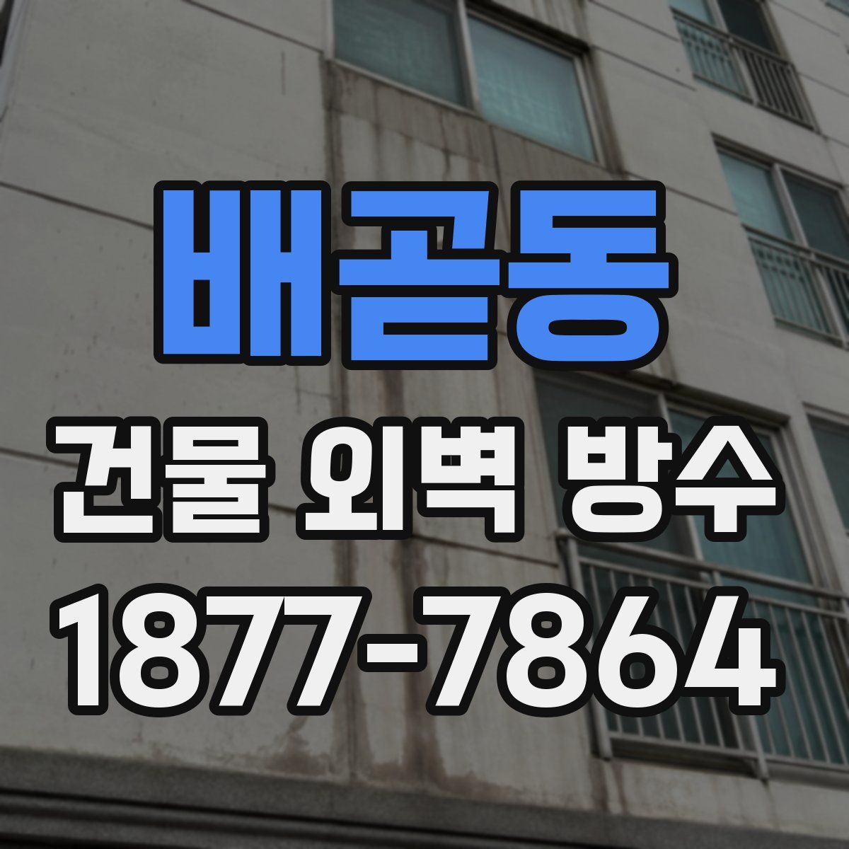 배곧동 건물 외벽 방수