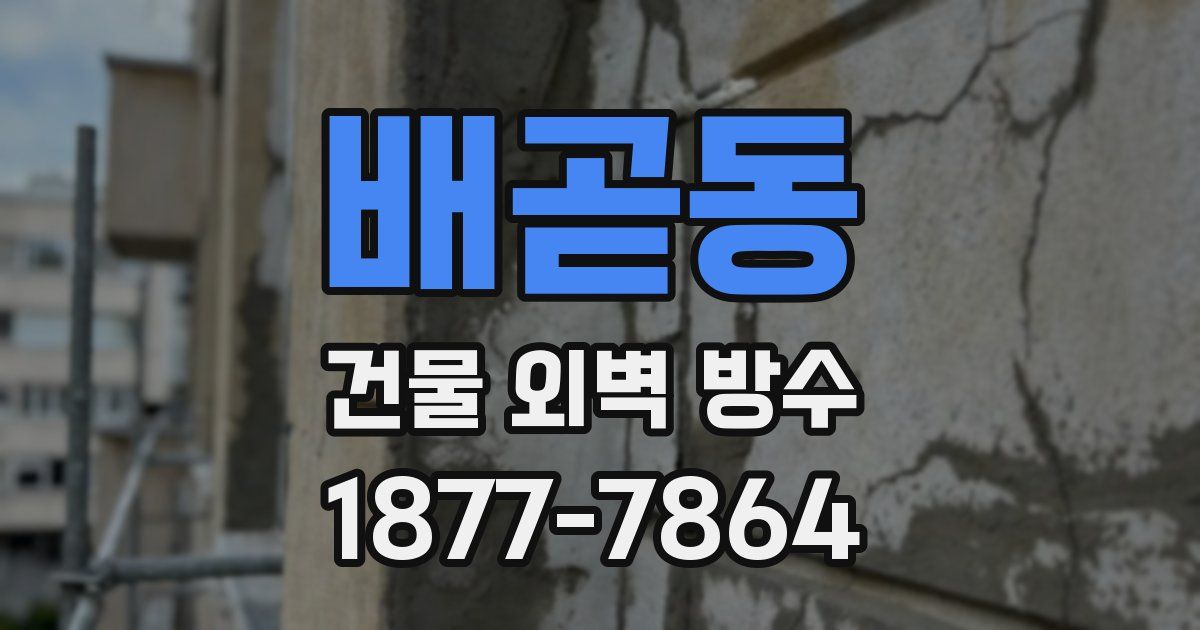 배곧동 건물 외벽 방수