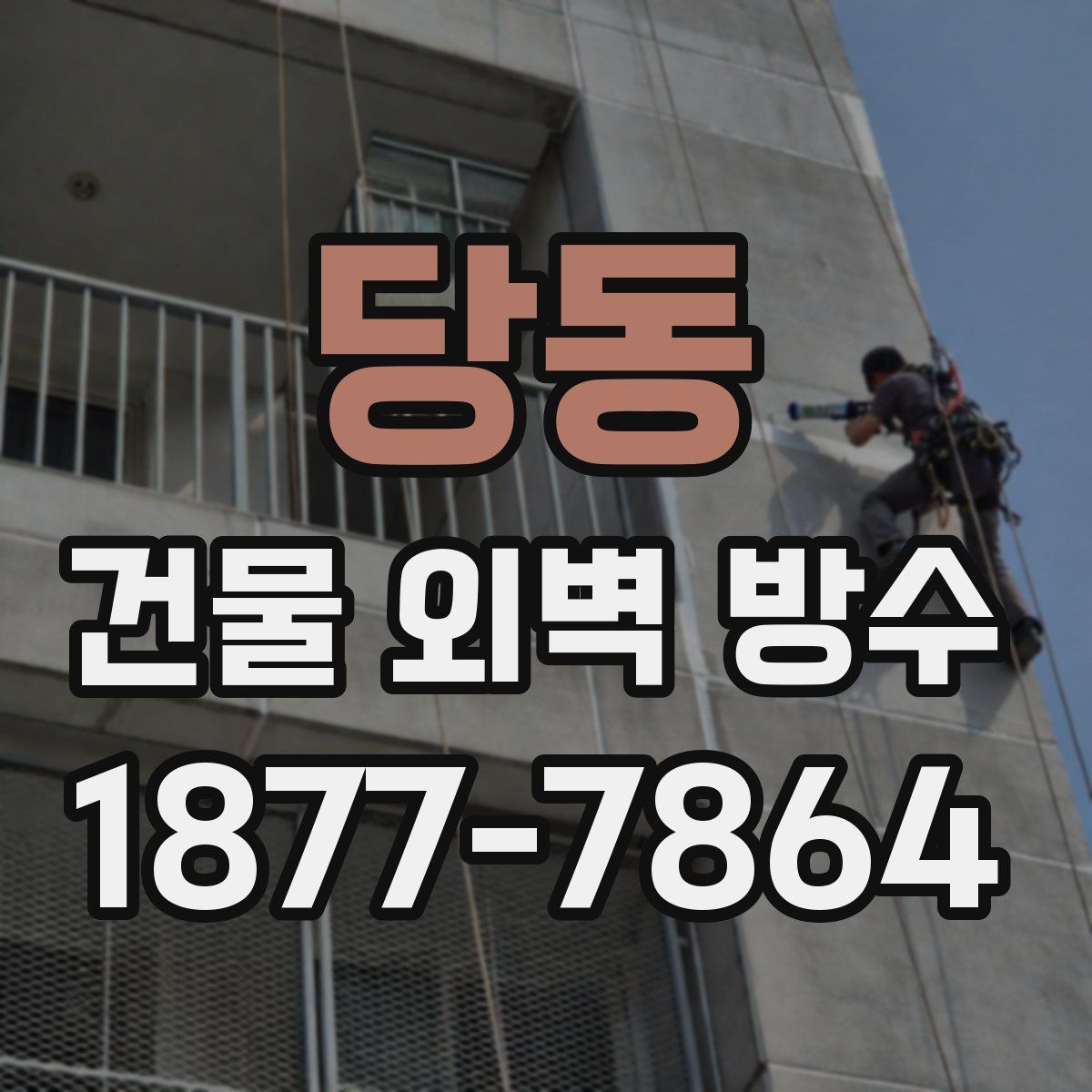 당동 건물 외벽 방수