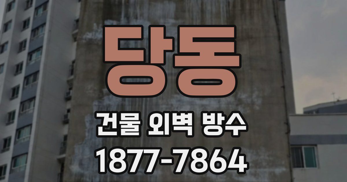 당동 건물 외벽 방수