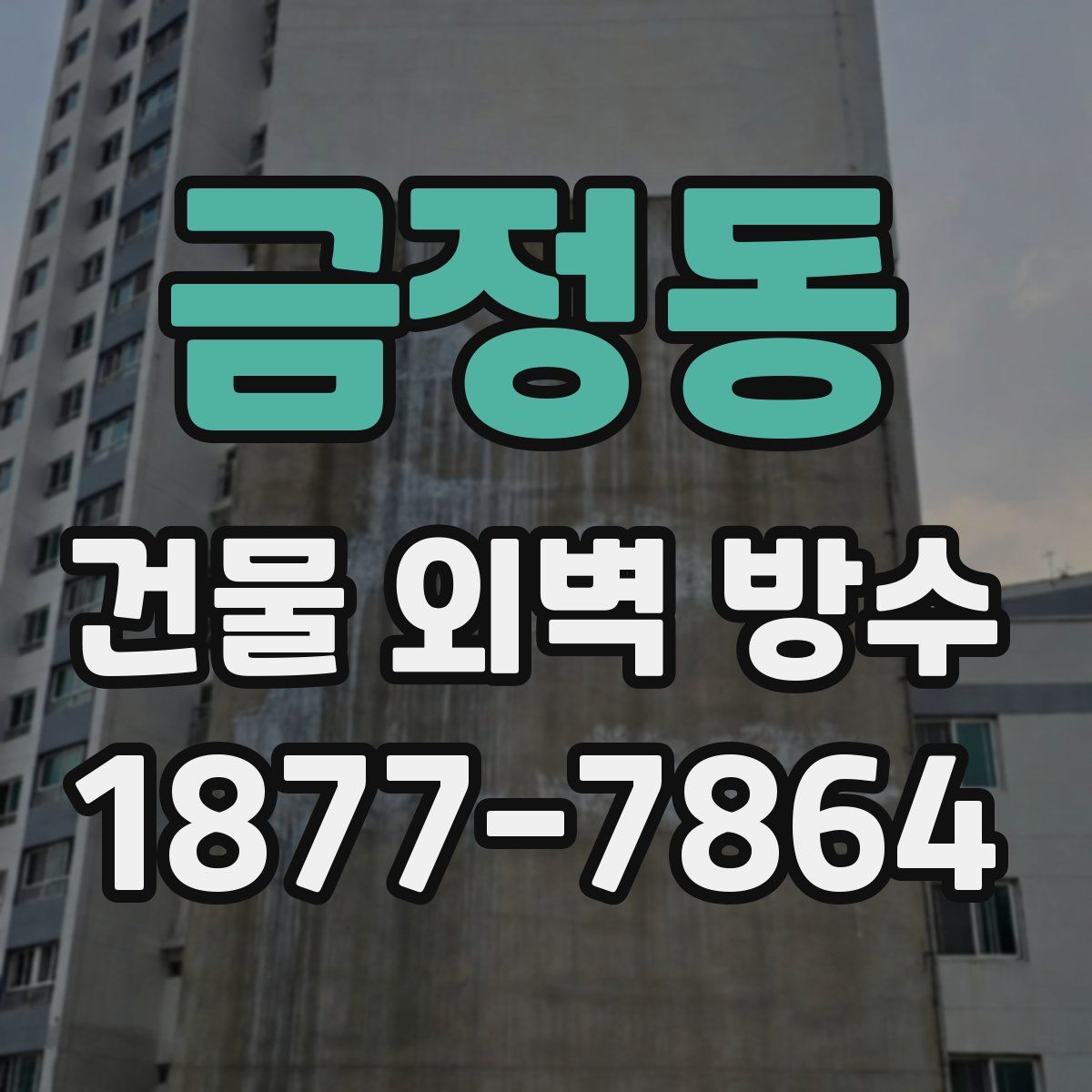 금정동 건물 외벽 방수