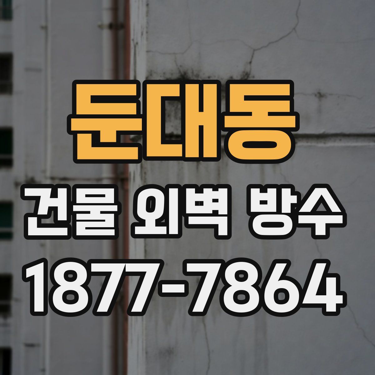 둔대동 건물 외벽 방수