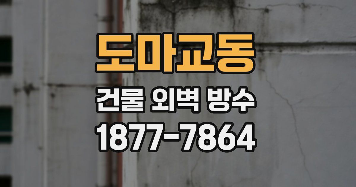 도마교동 건물 외벽 방수