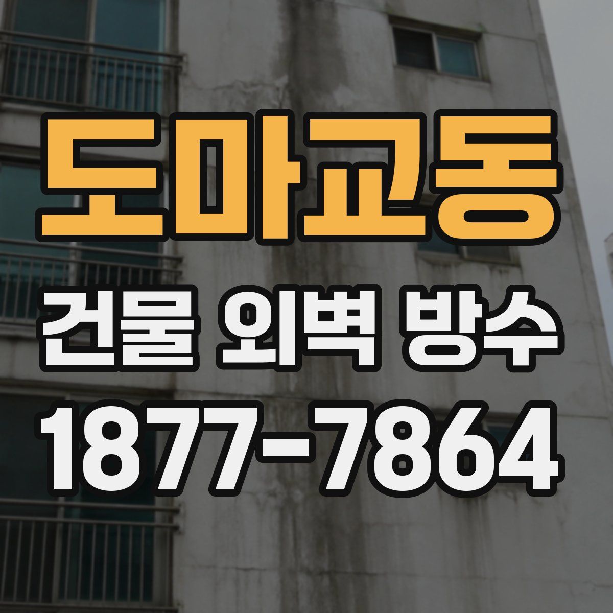 도마교동 건물 외벽 방수