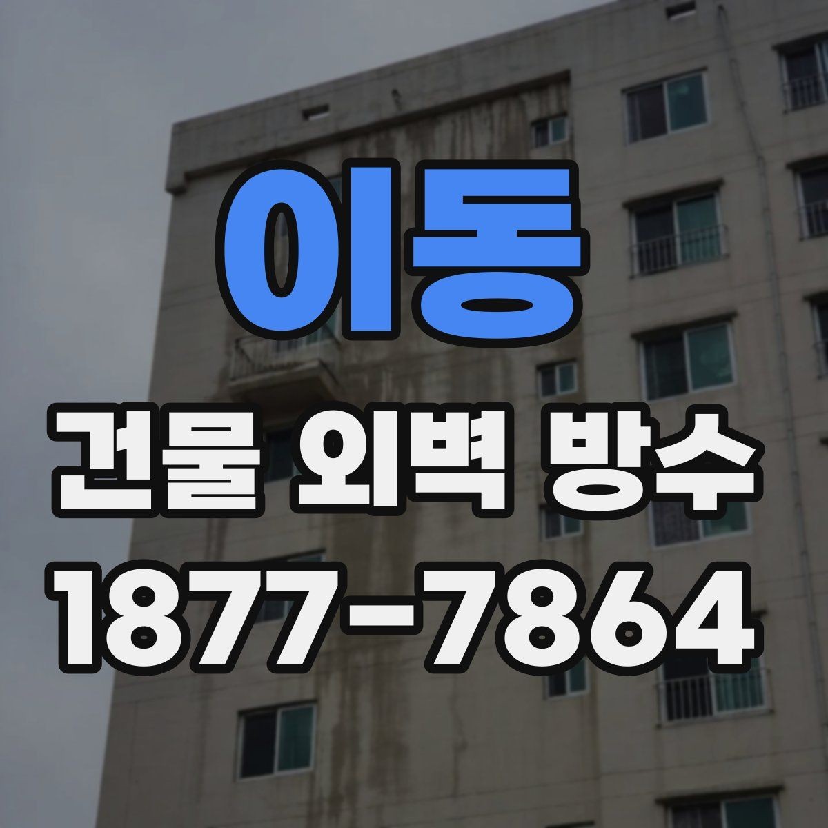 이동 건물 외벽 방수 업체 후기 볼 때 확인할 부분