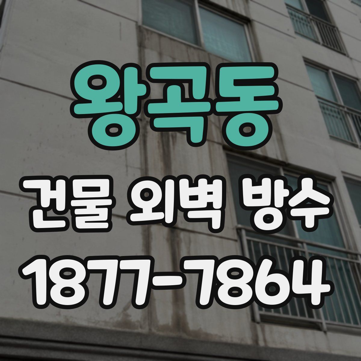 왕곡동 건물 외벽 방수