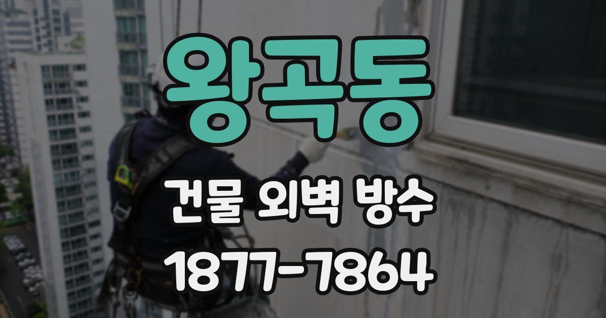 왕곡동 건물 외벽 방수