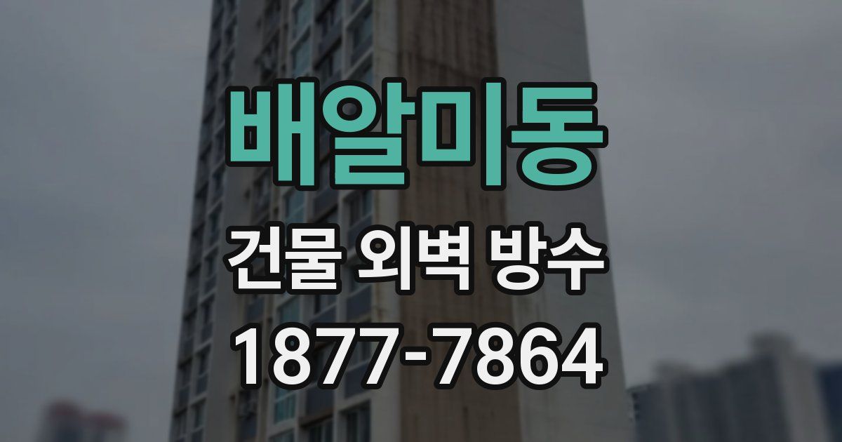 배알미동 건물 외벽 방수
