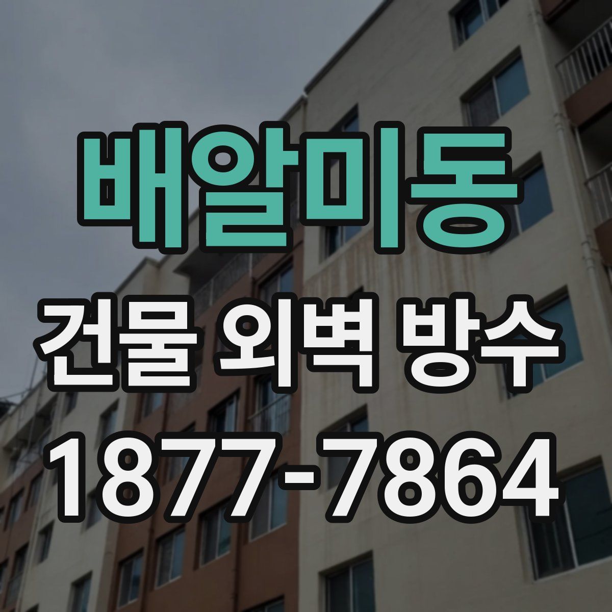 배알미동 건물 외벽 방수