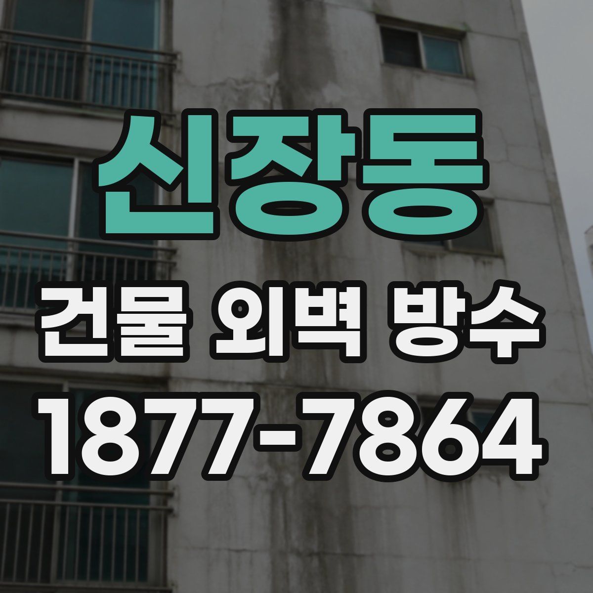 신장동 건물 외벽 방수