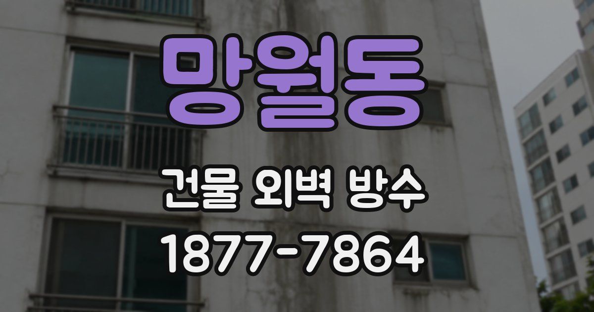 망월동 건물 외벽 방수