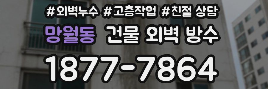 망월동 건물 외벽 방수