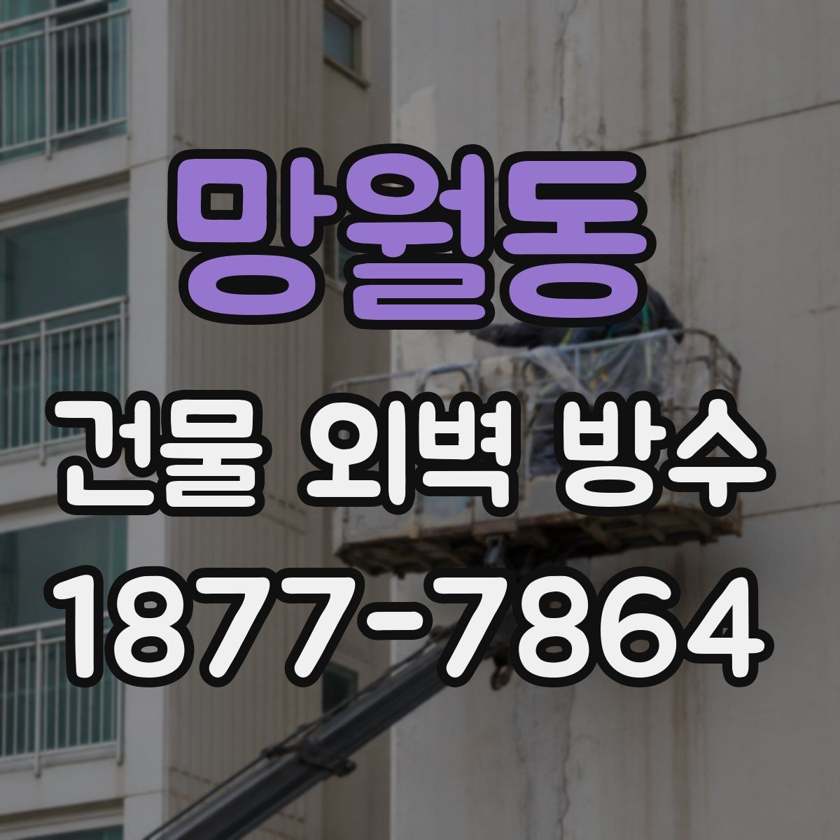 망월동 건물 외벽 방수