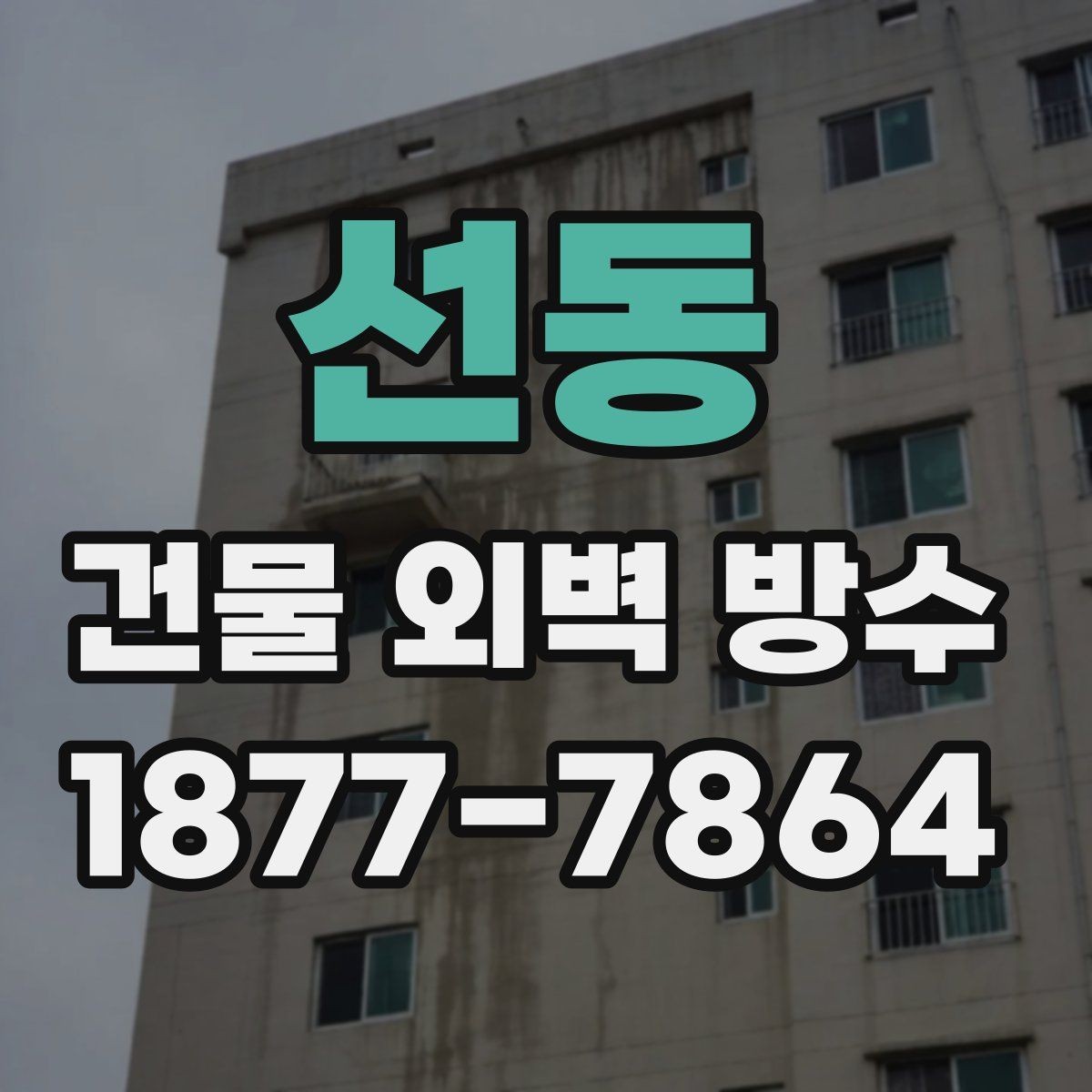선동 건물 외벽 방수 종류별 장단점 정리