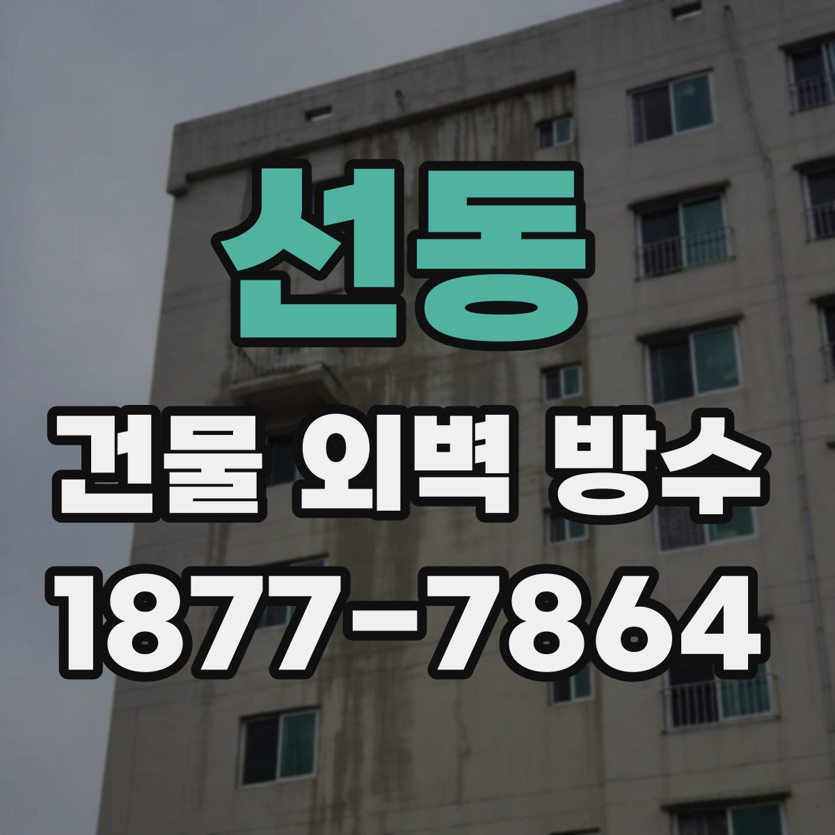 선동 건물 외벽 방수