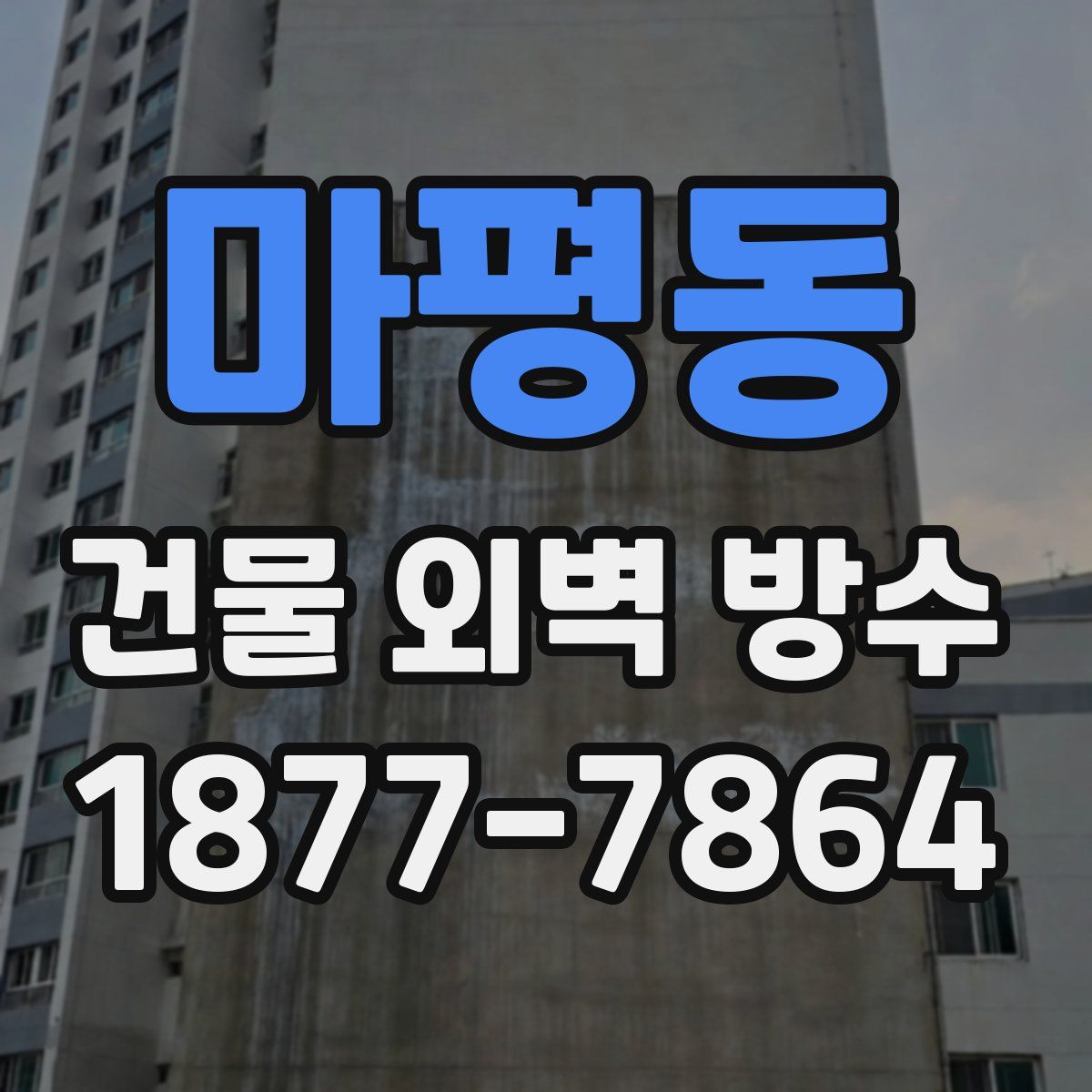 마평동 건물 외벽 방수