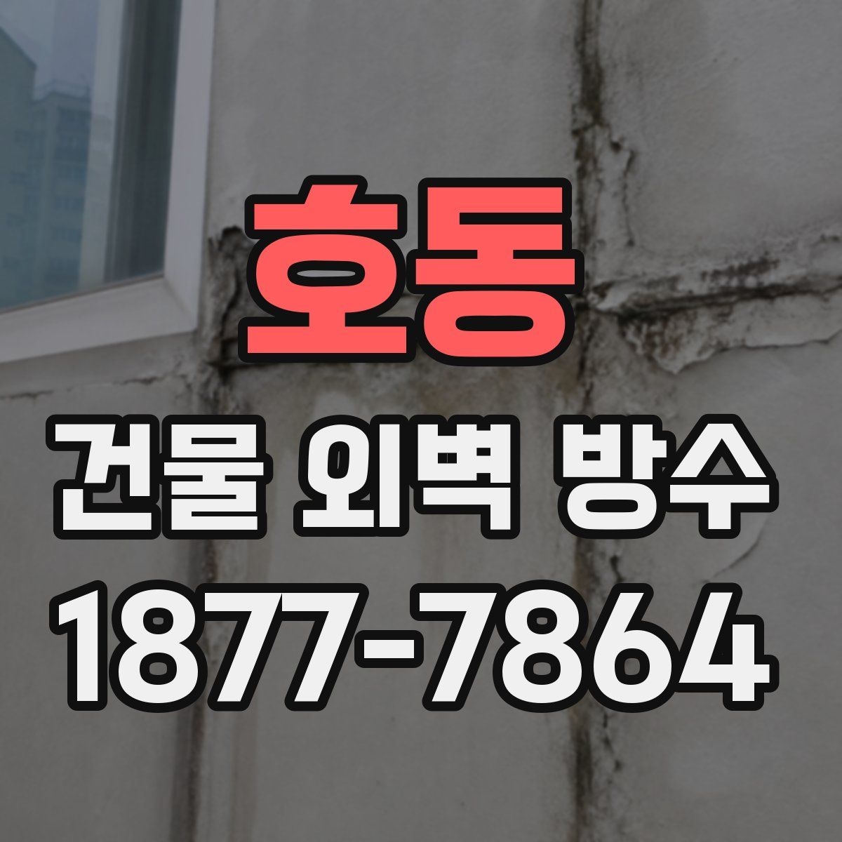 호동 건물 외벽 방수