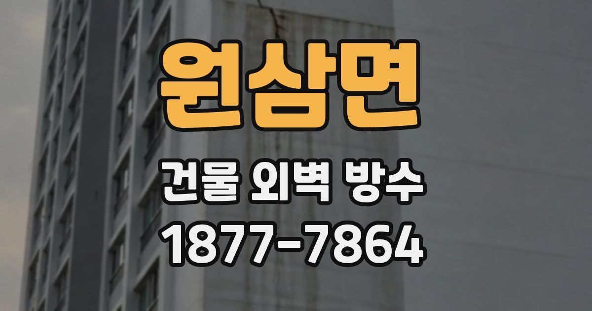 원삼면 건물 외벽 방수