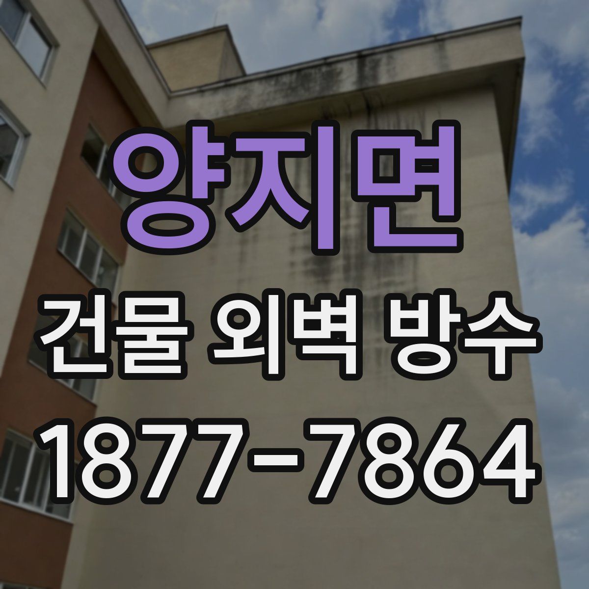 양지면 건물 외벽 방수