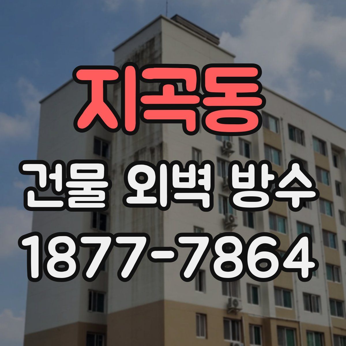 지곡동 건물 외벽 방수