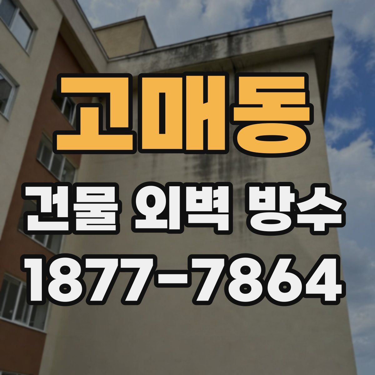 고매동 건물 외벽 방수