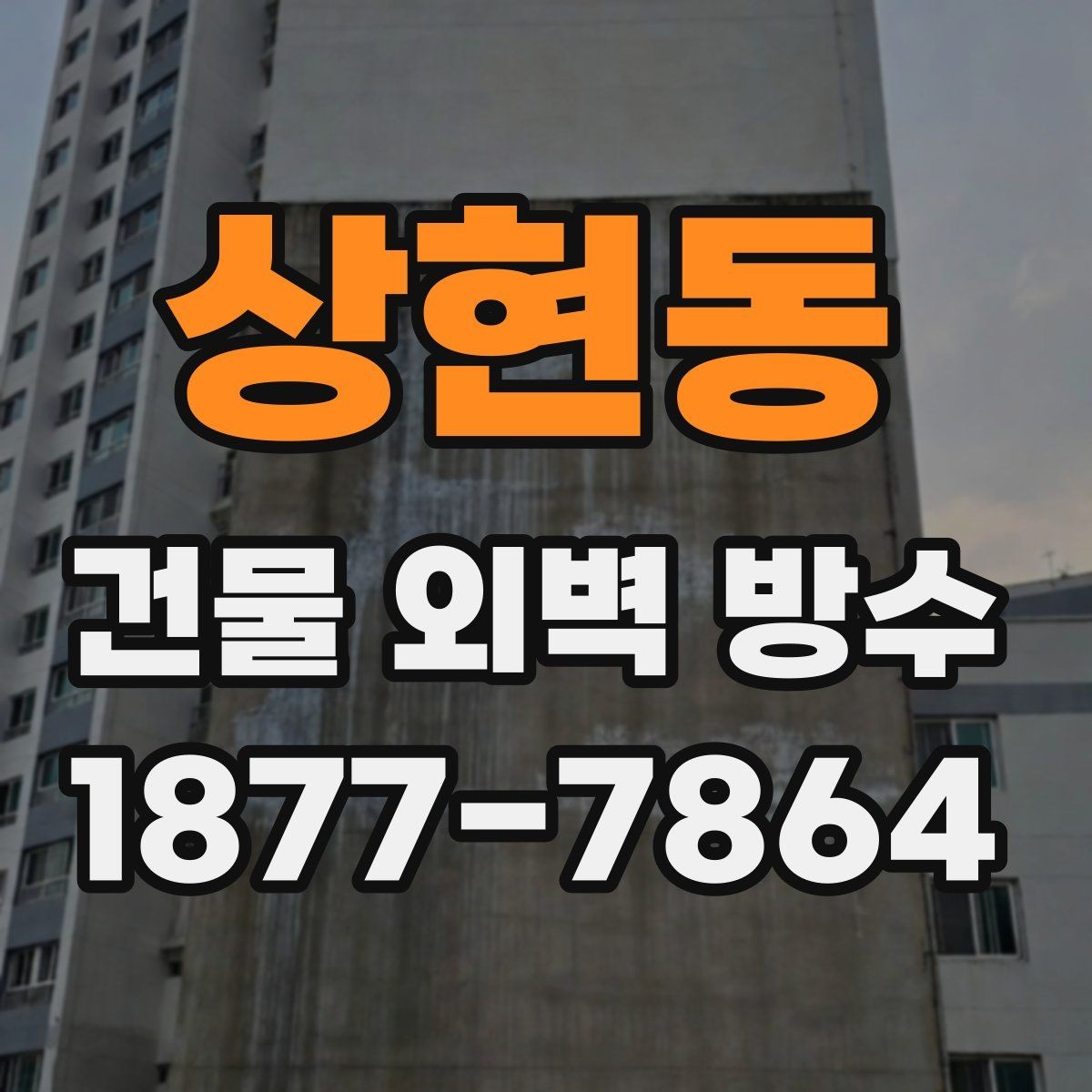 상현동 건물 외벽 방수 오래된 외벽에 맞는 보수 방식
