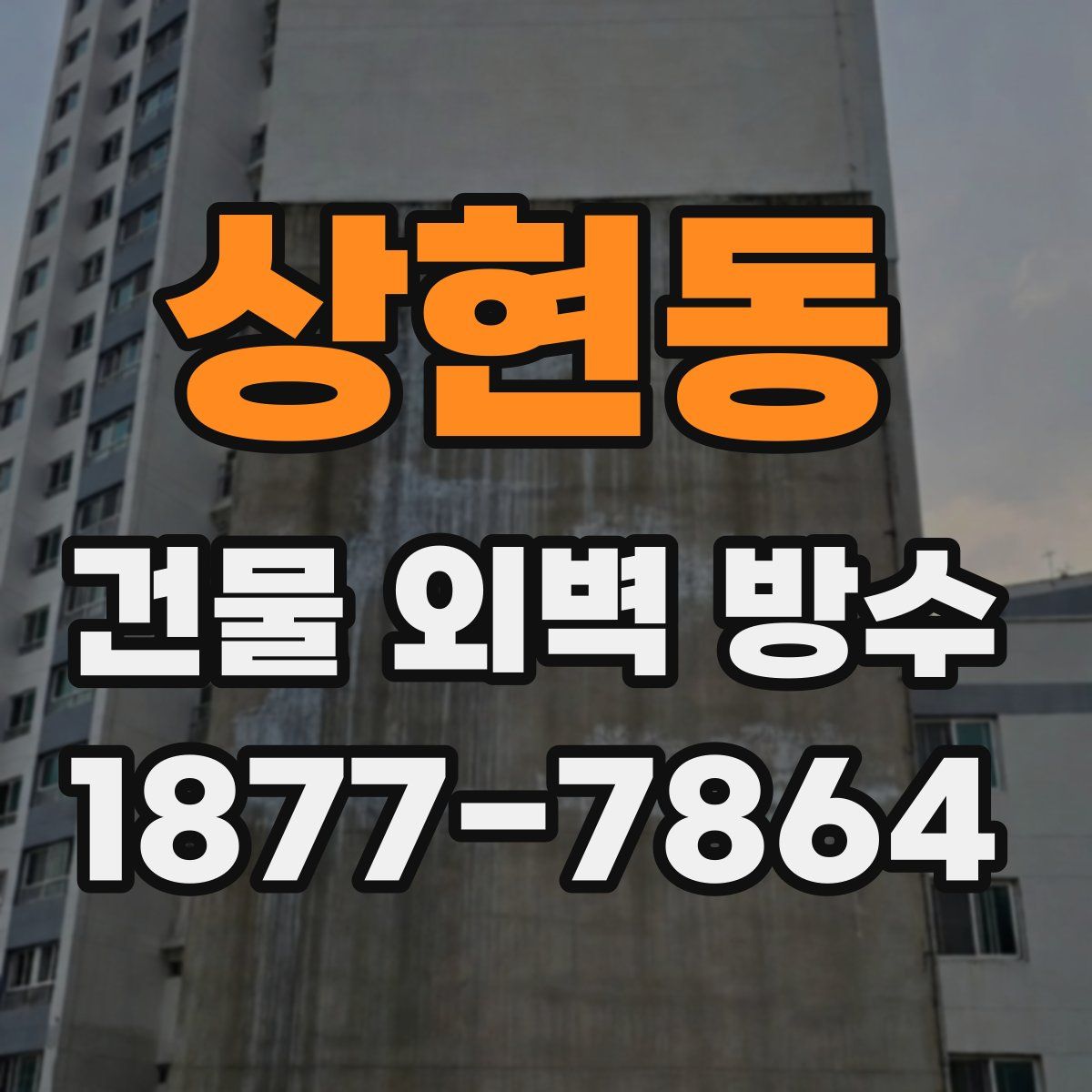 상현동 건물 외벽 방수